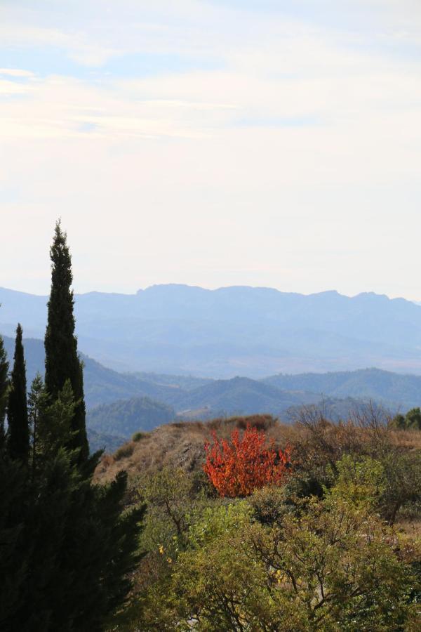 Balco Del Priorat La Morera de Montsant