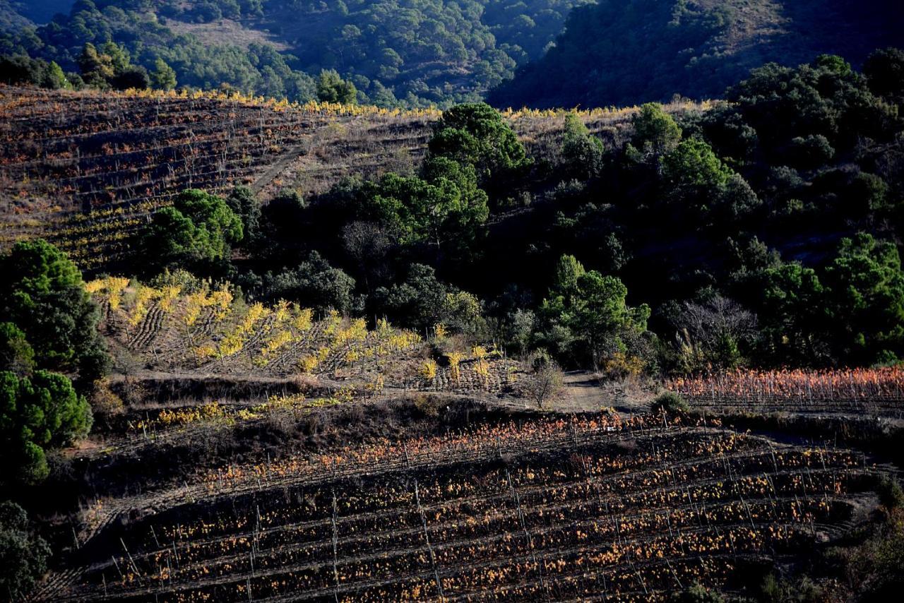 Balco Del Priorat 3* La Morera de Montsant